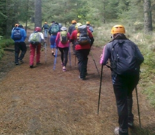 Nordic walking